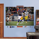 Demaryius Thomas OT TD Mural Wall Decal