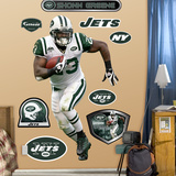 Shonn Greene   Wall Decal