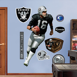 Jim Plunkett Wall Decal