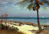 Tropical Coast Wall Decal by Albert Bierstadt