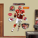 Matt Cassel Wall Decal