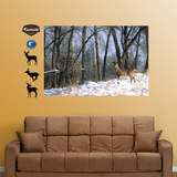 Deer in the Woods Mural Wall Decal