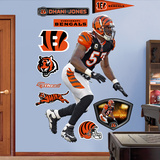 Dhani Jones Wall Decal