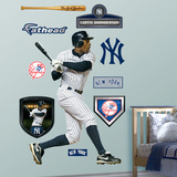 Curtis Granderson Wall Decal