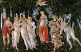 Primavera Wall Decal by Sandro Botticelli