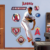 Jim Abbott Wall Decal