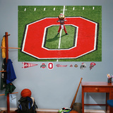 Ohio State Brutus Mural Wall Decal