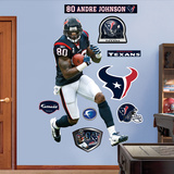 Andre Johnson Wall Decal