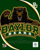 Baylor University Bears 2012 Logo Photographie