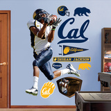 DeSean Jackson Cal Wall Decal