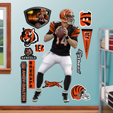 Andy Dalton 2011 Wall Decal
