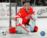 Jimmy Howard 2011-12 Spotlight Action Photo