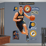 Tyler Hansbrough 2012 Wall Decal