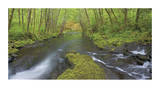 Nestucca River Panorama Limited Edition by Donald Paulson
