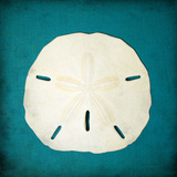 Sand Dollar II Prints by Diana Brennan