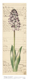 Vintage Accounts I Plakater av Cory Bannister Vintage Accounts I Plakater av Cory Bannister