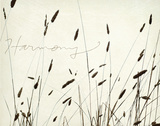 Grass Harmony Posters par Amy Melious