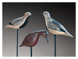 Verity Shorebirds Trio Posters by Robert Shaw
