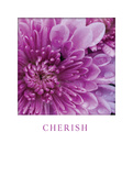 Cherish Plakat av Erin Berzel