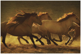 Into the Light Prints by Tony Stromberg