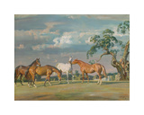 Rose, Wildbird, Peggy and Stockings Premium Giclee Print by Sir Alfred Munnings