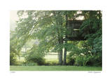 Tree House Limited Edition by Stacy Bass