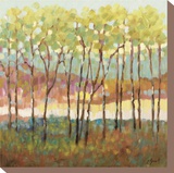Distant Color Impressão em tela esticada por Libby Smart Distant Color Impressão em tela esticada por Libby Smart