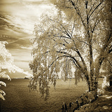 Hopewell Shores Sepia Sq II Prints by Alan Hausenflock