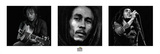 Bob Marley -B&W Posters