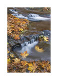 Sweet Creek Falls III Limited Edition by Donald Paulson