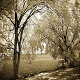 Hopewell Shores Sepia Sq I Art by Alan Hausenflock
