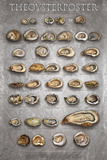The Oyster Poster Prints by Marinelli 