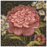 Maribel II Affiches par Suzanne Nicoll