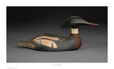 Bachman Merganser Print by Robert Shaw