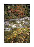 Cascade Mountains II Limited Edition by Donald Paulson
