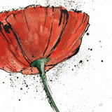 Not a California Poppy I Posters af Chris Paschke
