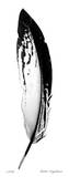 Feather I Edycja limitowana autor Anthony Tahlier Feather I Edycja limitowana autor Anthony Tahlier