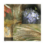 Solace Limited Edition by Michelle Joyce