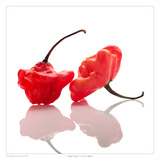 Apple Peppers Posters by David Wagner