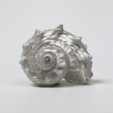 Beachside Treasure III Posters by Assaf Frank