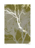 Views of Trees 4 Limitierte Auflage von M.J. Lew
