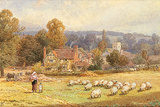 Pathway to the Water Meadows Premium Giclee Print by Myles Birkett Foster