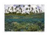 Reef Scenic Split Image Limited Edition by Jones-Shimlock 