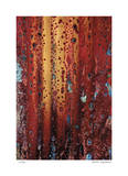 Taos III Edition limitée par Luann Ostergaard