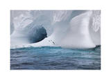 Iceberg and Seabirds Limited Edition by Donald Paulson