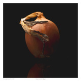 Onion Posters by David Wagner