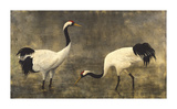 Japanese Cranes Premium Giclee Print by Helene Whitwell