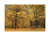 Park Bench in Fall Limited Edition by Donald Paulson
