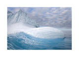 Sea Sculpted Iceberg Limited Edition by Donald Paulson