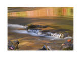 Rogue River Reflections II Limited Edition by Donald Paulson